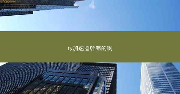 ty加速器幹嘛的啊