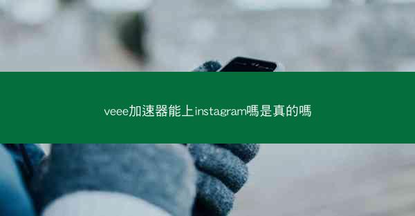 veee加速器能上instagram嗎是真的嗎