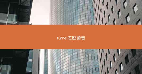 tunnel怎麽讀音