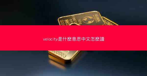 velocity是什麽意思中文怎麽讀