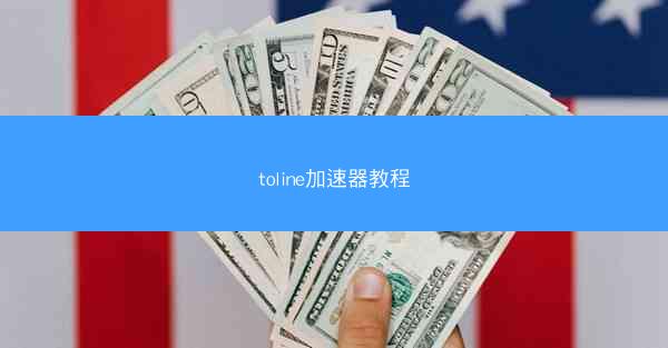 toline加速器教程