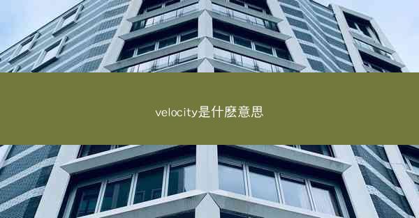 velocity是什麽意思