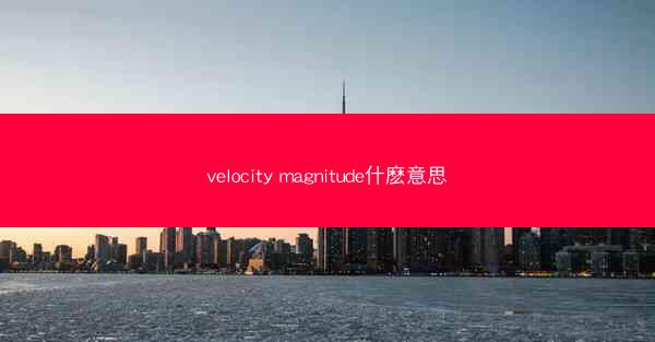 velocity magnitude什麽意思