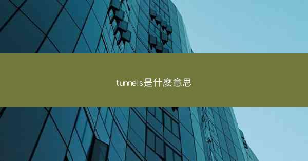 tunnels是什麽意思