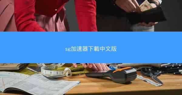 sg加速器下載中文版