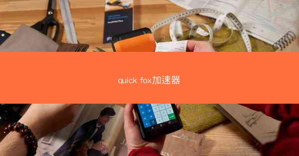 quick fox加速器