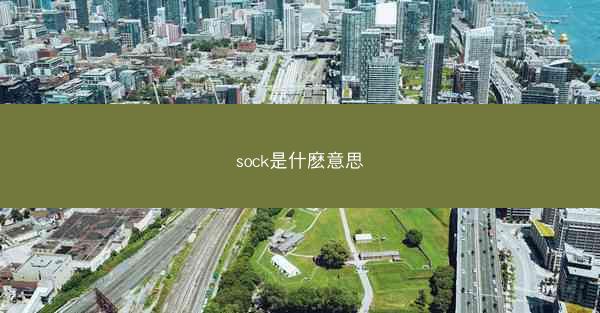 sock是什麽意思