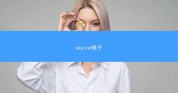 skyline梯子