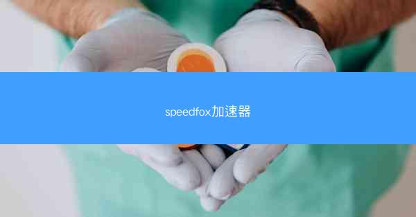 speedfox加速器