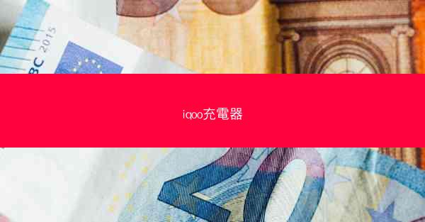 iqoo充電器