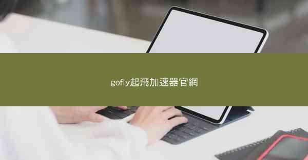 gofly起飛加速器官網