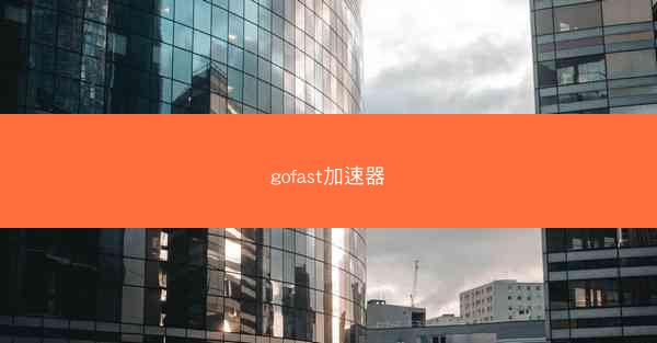 gofast加速器