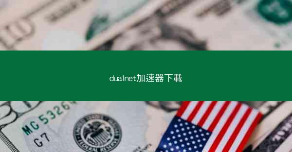 dualnet加速器下載