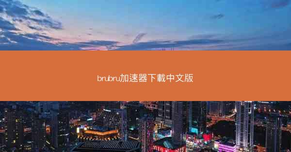 brubru加速器下載中文版