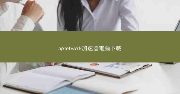 apnetwork加速器電腦下載
