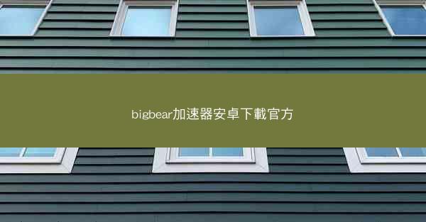 bigbear加速器安卓下載官方