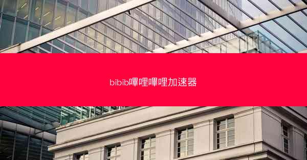 bibib嗶哩嗶哩加速器