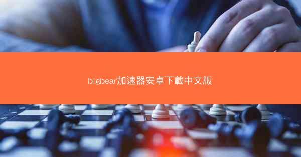 bigbear加速器安卓下載中文版