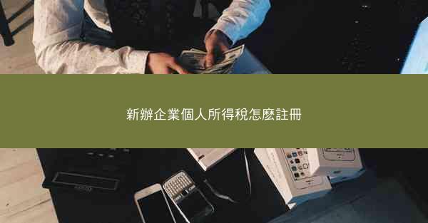 新辦企業個人所得稅怎麽註冊