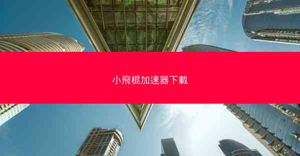 小飛棍加速器下載