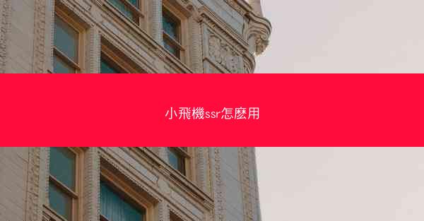 小飛機ssr怎麽用