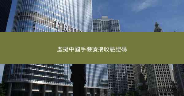 虛擬中國手機號接收驗證碼