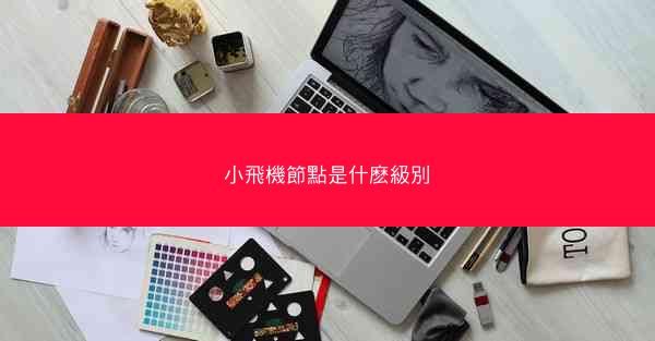 小飛機節點是什麽級別