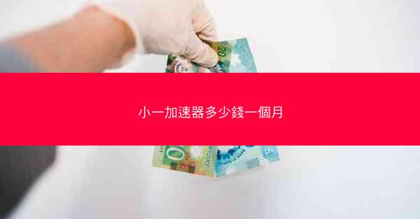 小一加速器多少錢一個月