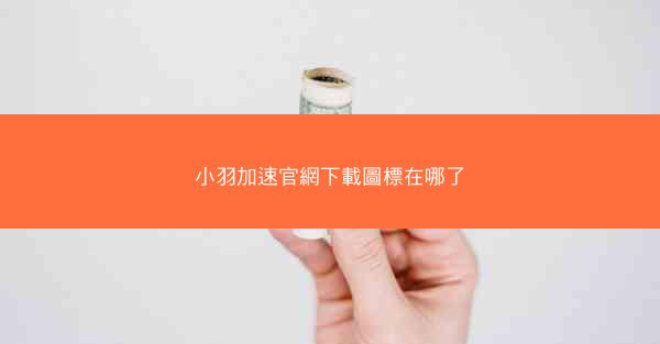 小羽加速官網下載圖標在哪了