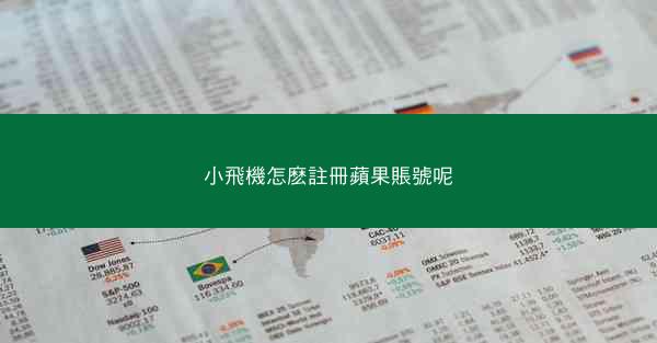 小飛機怎麽註冊蘋果賬號呢
