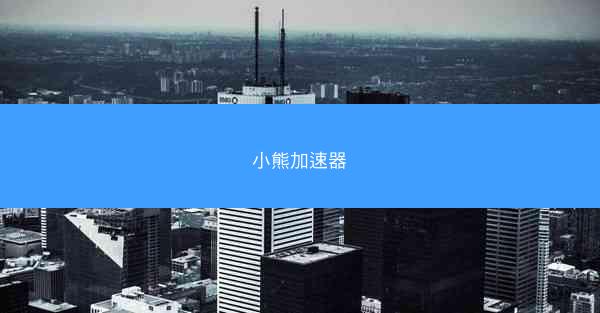 小熊加速器