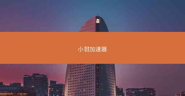 小羽加速器