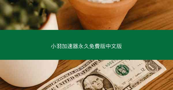 小羽加速器永久免費版中文版
