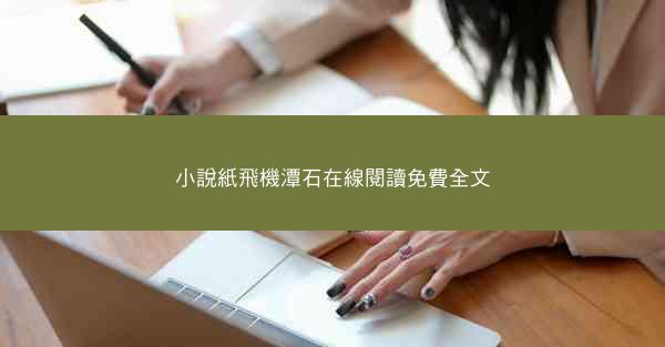 小說紙飛機潭石在線閱讀免費全文