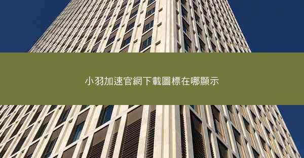 小羽加速官網下載圖標在哪顯示