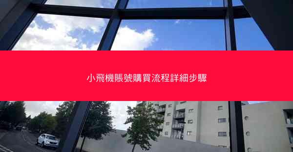 小飛機賬號購買流程詳細步驟