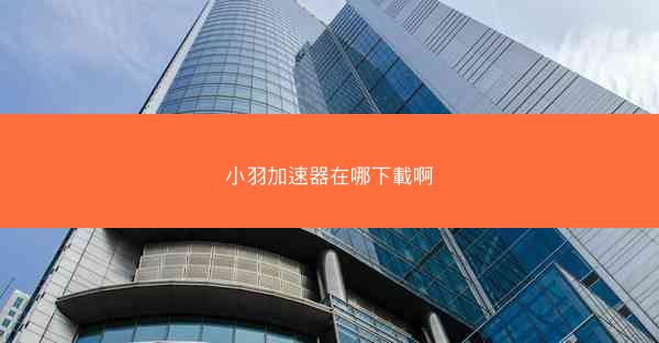 小羽加速器在哪下載啊