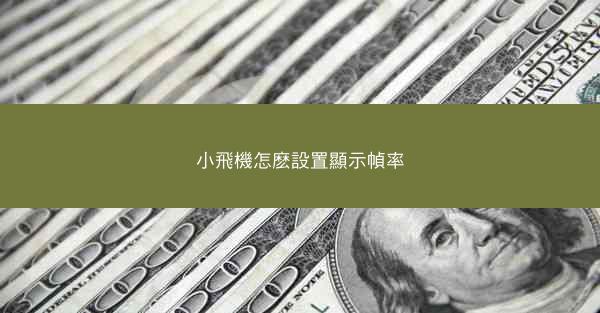 小飛機怎麽設置顯示幀率