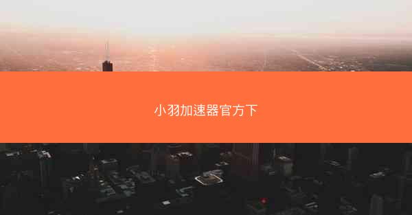 小羽加速器官方下