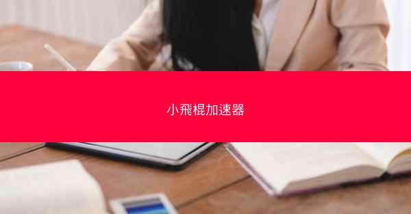 小飛棍加速器