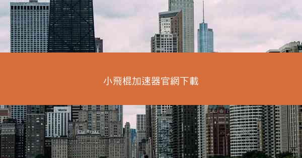 小飛棍加速器官網下載