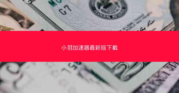 小羽加速器最新版下載