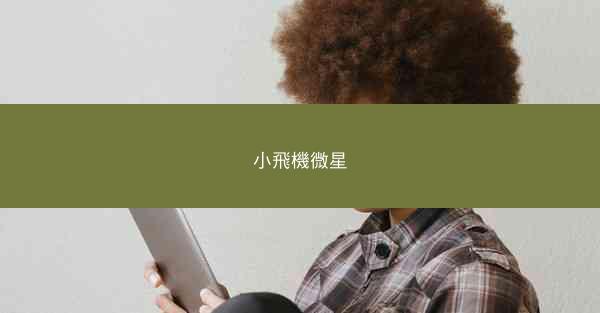 小飛機微星