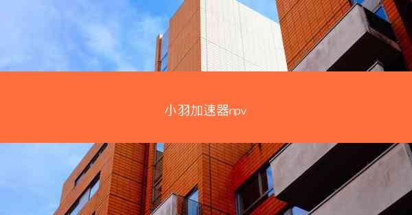 小羽加速器npv